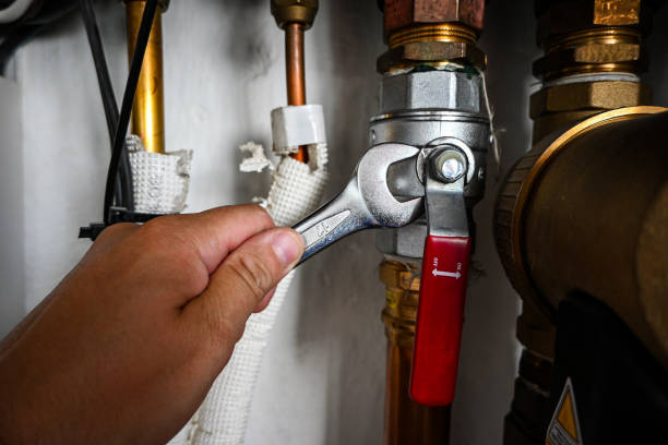 Best Toilet Repair Services  in Erwinville, LA